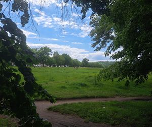 Błonia w Krakowie