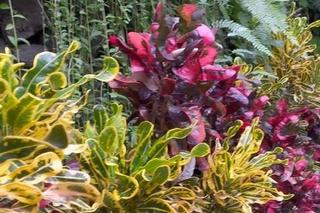 Rafał Mroczek w podróży poślubnej