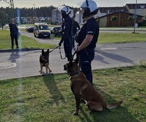 Ze stadionu prosto do celi! Kibice odpalili race i petardy!