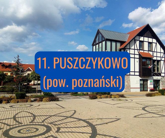 11. Gmina Puszczykowo