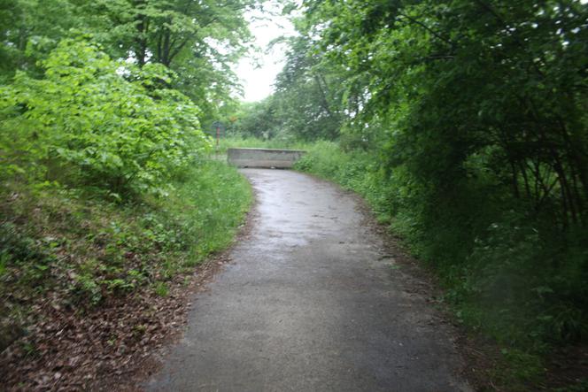 Polskie wojsko wkroczyło do Czech