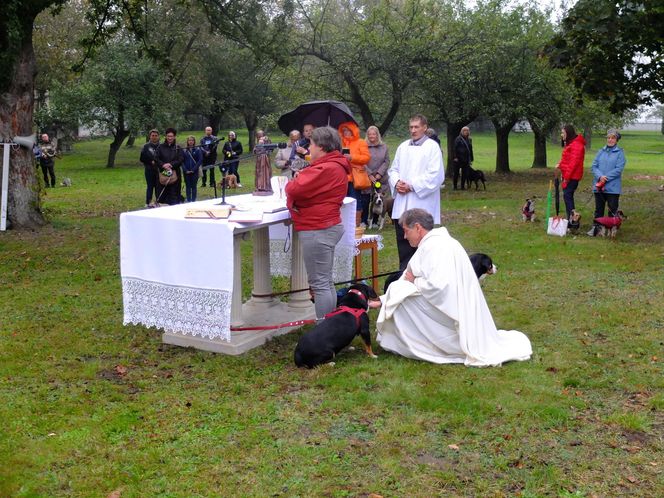 Z psem na mszę, czyli wyjątkowe nabożeństwo w Puławach. "To są nasi mniejsi bracia"