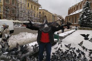 Zaskakujący apel od władz. Miasto i KTOZ proszą o pomoc w dokarmianiu ptaków