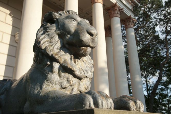 Dawniej rezydencja magnackiego rodu, dziś imponująca galeria sztuki. Zaglądamy do wnętrz Pałacu w Rogalinie