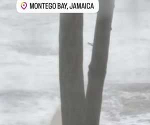 Aleksandra Żebrowska