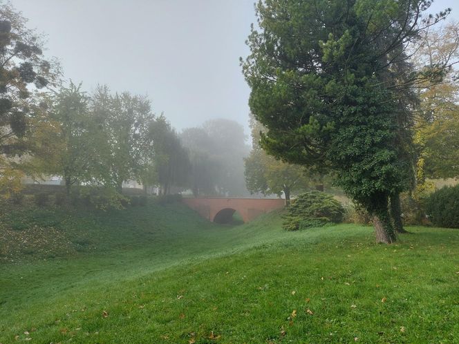 Zamojski Park jesienią