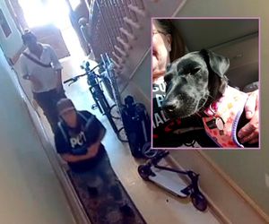 Polka z New Jersey oskarża PETA o kradzież psa. „Odebrali mi Rosie i złamali serce”