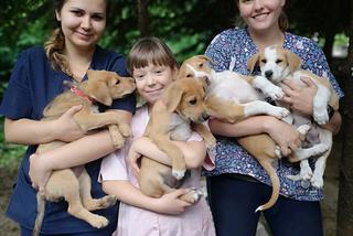 Bimber osłodzi ci życie