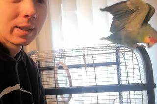 Jaruś z Chłopaków Do Wzięcia szuka dziewczyny!