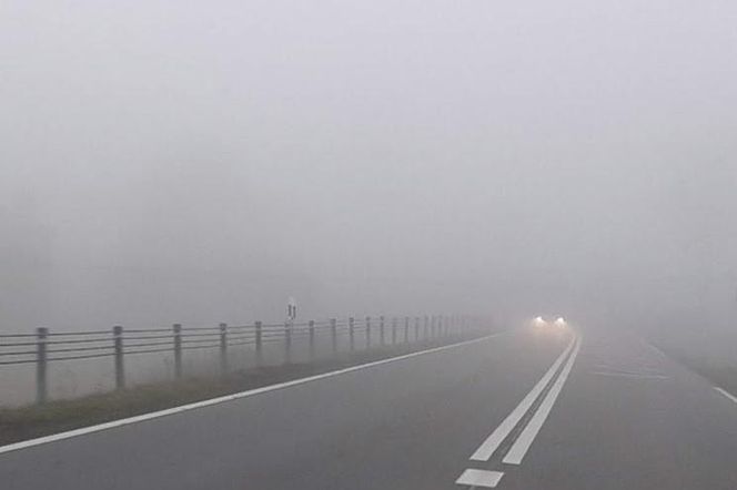 Bezpłatnie sprawdzisz ustawienie świateł w samochodzie. Także na Sądecczyźnie