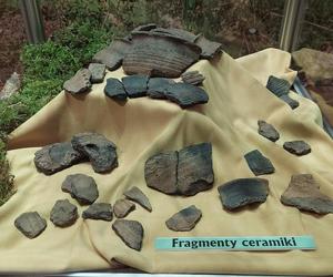 Ostatnie dni wystawy Jaćwieskie eldorado. Ekspozycję zobaczymy w Muzeum Zamojskim