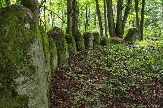 Pseudomegalityczny cmentarz Dohnów na Mazurach [GALERIA]