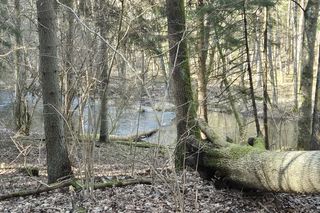 To jedna z piękniejszych rzek w Olsztynie. Można ją zobaczyć w kultowym serialu