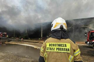 Ogromny pożar pod Gorzowem. Wiemy, co płonie