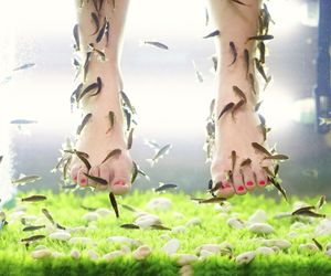 Fish pedicure. Jak wygląda pedicure rybkami? Czy jest bezpieczny?