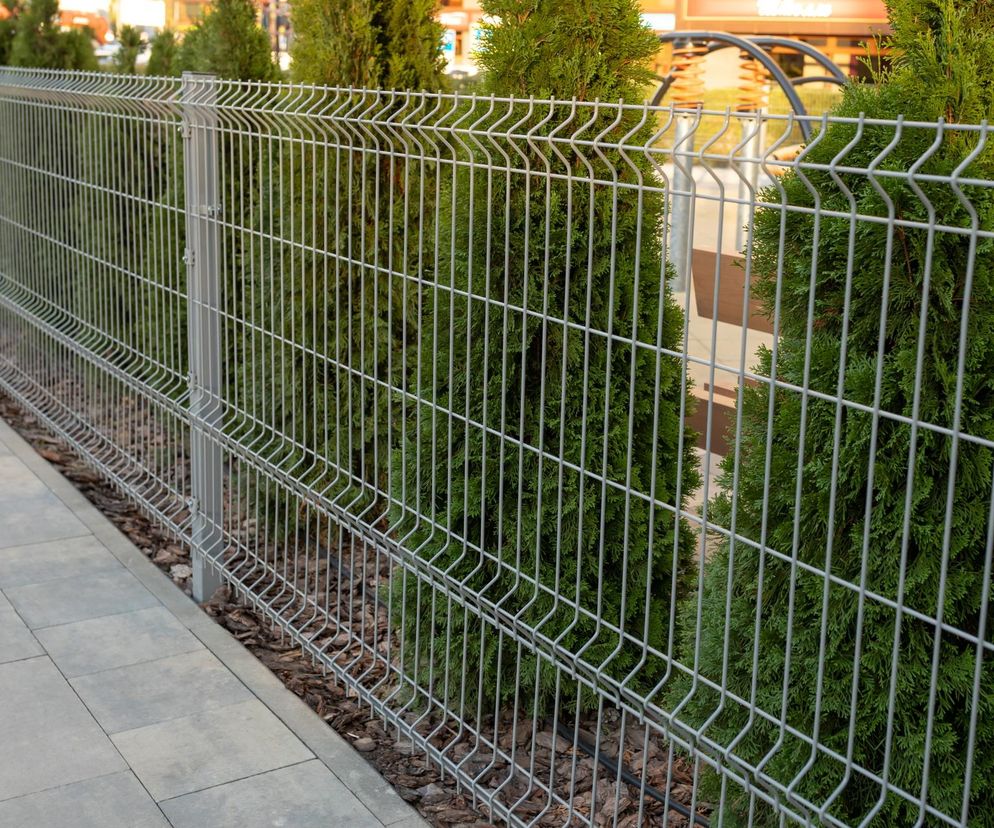 Od 2026 roku zapomnij o tych ogrodzeniach! Nowe zasady zmienią wygląd tysięcy posesji