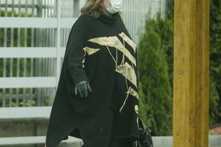 Daniel Olbrychski: Kowboj z Podkowy Leśnej