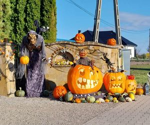 U Łukasza z Pawłowa hasło cukierek albo psikus nabiera innego wymiaru. Najbardziej halloweenowy dom świętokrzyskiego