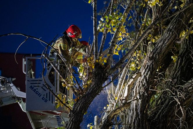 Polska pod naporem wichur! Strażacy nie mieli chwili wytchnienia