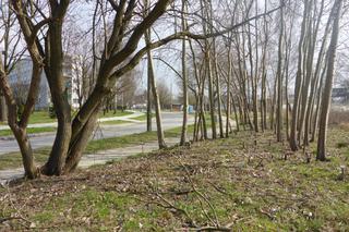 Mieszkańcy Bieżanowa i Prokocimia będą mieć duży park. Do zagospodarowania jest prawie 5 hektarów terenu!  [AUDIO]