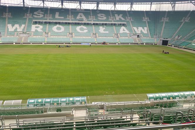Murawa na Stadionie Wrocław zostanie zregenerowana