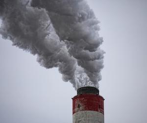 Czy 25.11.2022 w Olsztynie jest smog? Stężenie PM 2,5 i PM 10