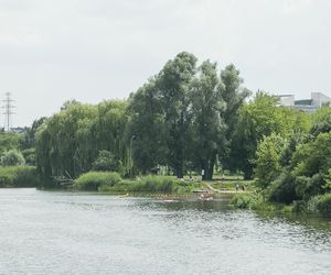 Jeziorko Czerniakowskie