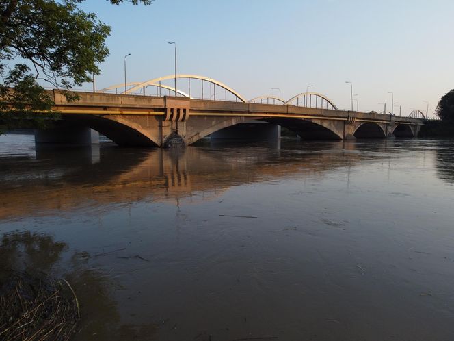 Powódź we Wrocławiu. Tak wygląda Odra w czwartek 19.09.2024 