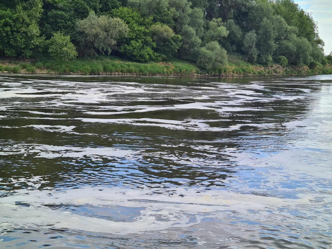 Kolejne zanieczyszczenie? Gęsta piana w korycie Wisły