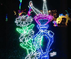 Śląsk zamienia się w Krainę Czarów. Ta magiczna wystawa świateł to absolutny hit jesieni i zimy