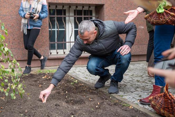 Fundacja "Pomóż Im". Po raz dziesiąty zaczęli siać Pola Nadziei [ZDJĘCIA]