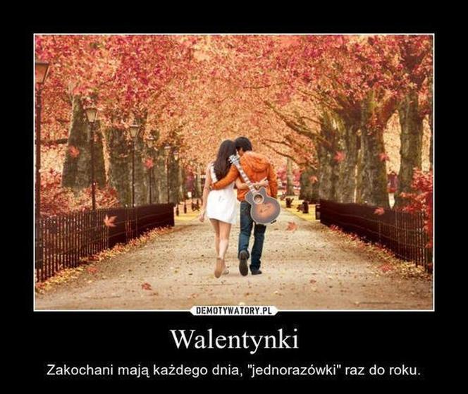 Memy na walentynki 14.02.2025. Święto zakochany oczami internautów [GALERIA]