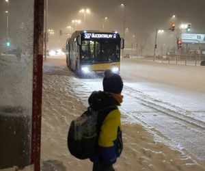 Potężny atak zimy na święta Bożego Narodzenia? Prognozy są już jasne, IMGW pokazuje mapy