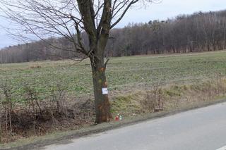 Wypadki pod Zamościem