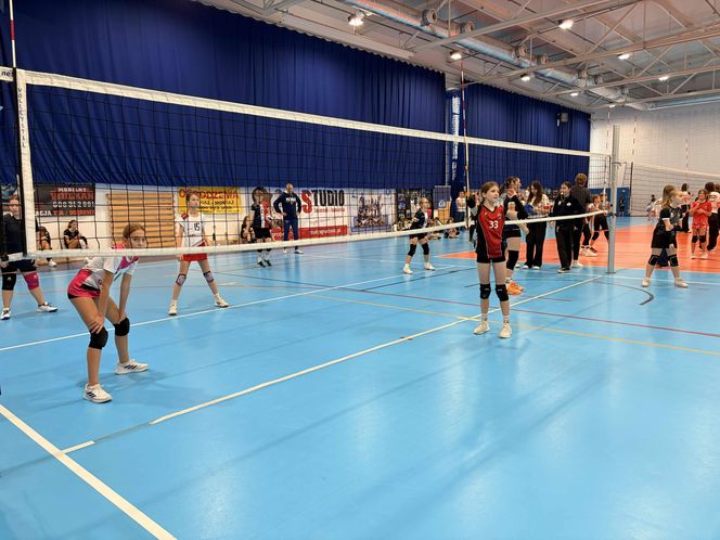 Siatkarski turniej z okazji Święta Niepodległości w Grudziądzu