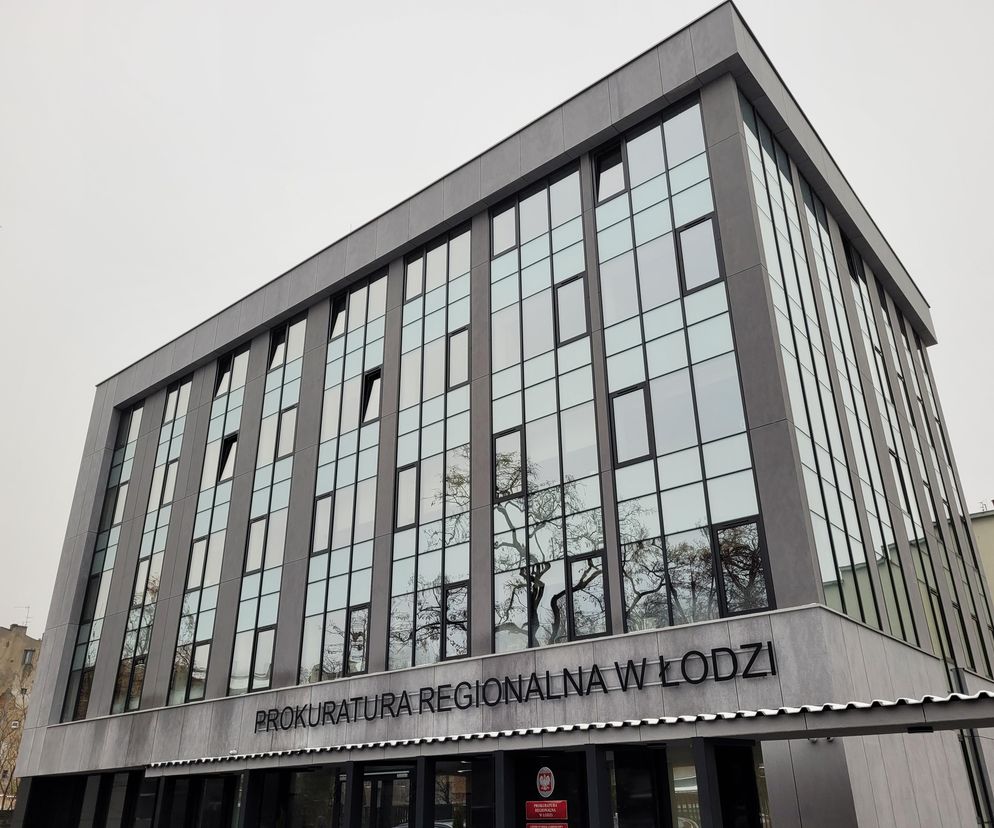 Łódź. Kot Krzyś opuścił Prokuraturę Regionalną. Pogryzł jednego z pracowników