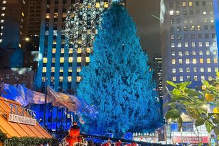 Najsłynniejsza choinka świata już zachwyca na Manhattanie