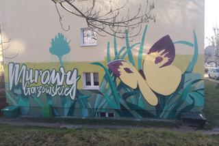Nowy mural na Osiedlu Słonecznym w Gorzowie 