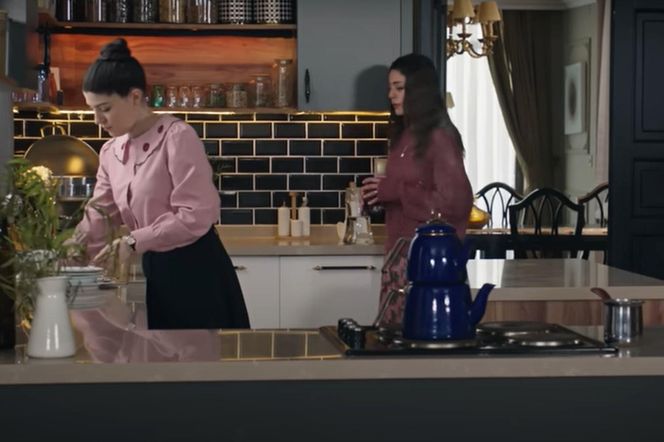 Cicek powie Seher, że odrzuciła prezent od Ziyi, sprawiając mu tym przykrość 