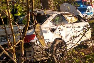 Przydzwonił w trzy drzewa! Z auta został tylko wrak. Kierowca BMW oszukał przeznaczenie - ZDJĘCIA