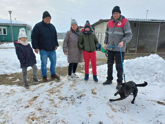 Schronisko dla bezdomnych zwierząt w Henrykowie prosi o słomę [ZDJĘCIA]