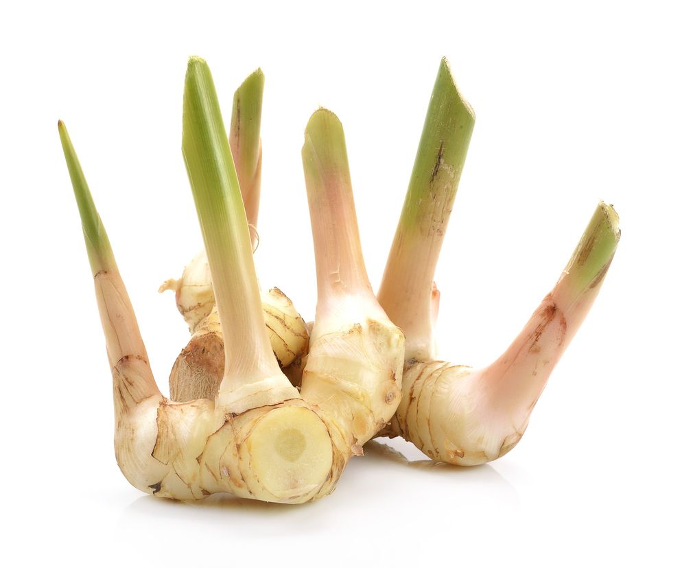Galangal to przyprawa o imbirowo-pieprzowym smaku, stosowana w kuchni tajskiej i kuchni indonezyjskiej do zup i curry.