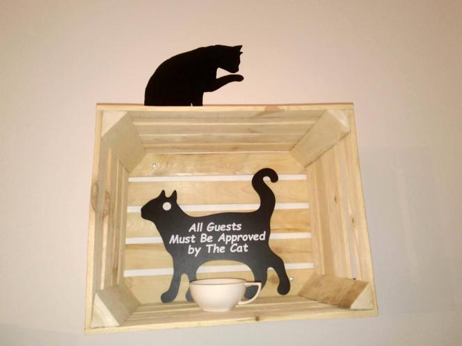 Katowice: Pierwsza na Śląsku Kocia Kawiarnia działa już trzy tygodnie! [ZDJĘCIA]