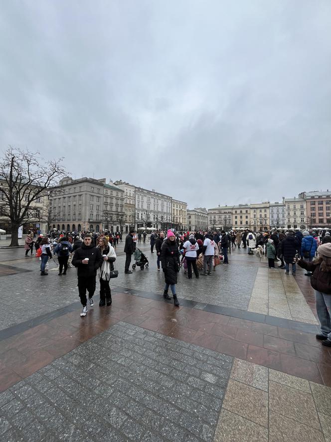 WOŚP 2024 w Krakowie. Grupa Golden Retriever opanowała cały Rynek Główny!