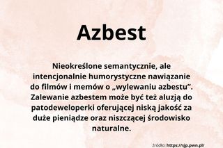 Młodzieżowe Słowo Roku 2024 