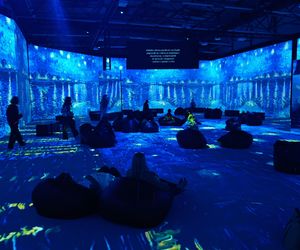Wystawa VAN GOGH – The Immersive Exhibition w Szczecinie