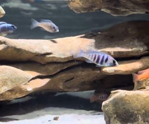 Rozmawiamy z Tomaszem Wiśniewskim, założycielem Aqua Dreams Bydgoszcz