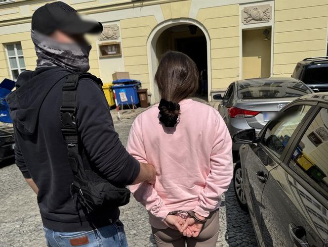 Małżeństwo sutenerów i miilion w gotówce. Zatrzymanie w Warszawie