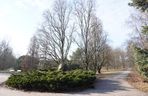 Park Cytadela 
