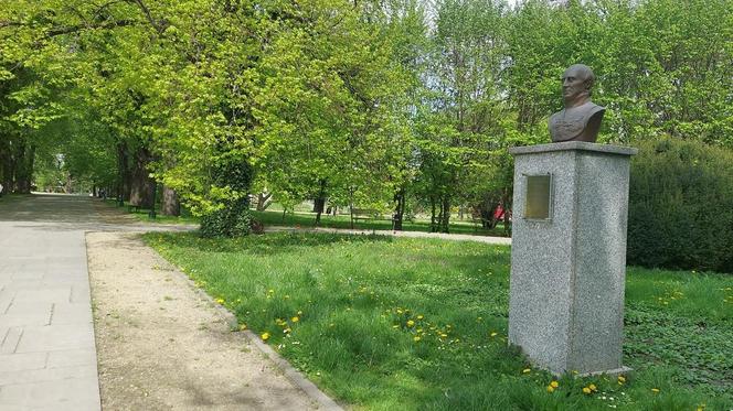 Zamość